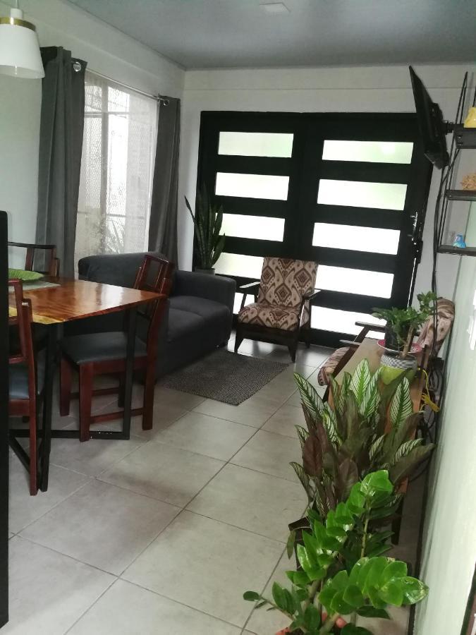 Tamandua -Home Feeling- La Fortuna Εξωτερικό φωτογραφία